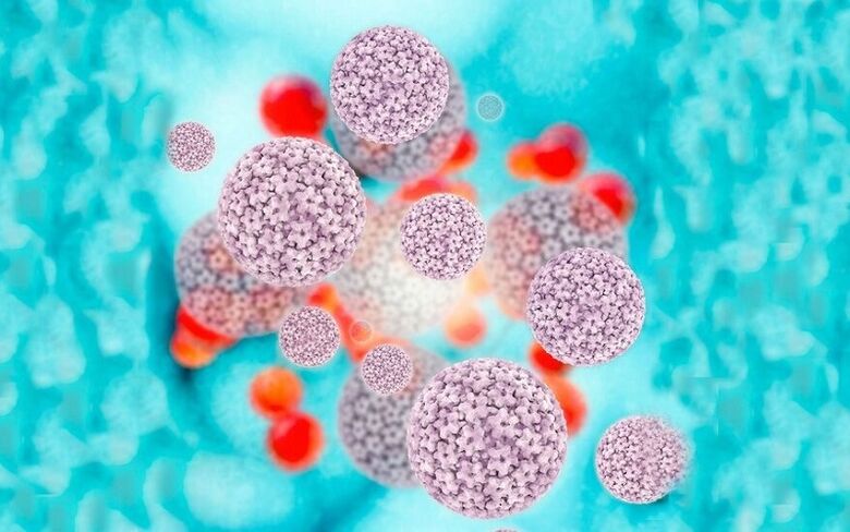 İnsan papilloma virüsü labiada papillomlara neden olur